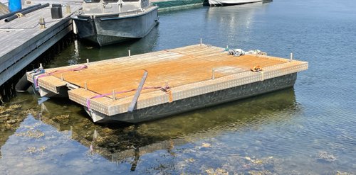 Frimärket smallest barge or work raft